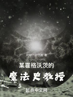 某霍格沃茨的魔法史教授