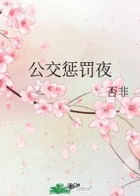 公交懲罰夜