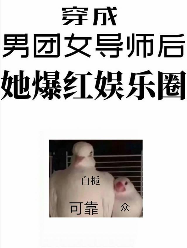 穿成男團選秀女導師後她爆紅娛樂圈