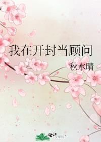 我在開封當顧問