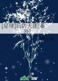 [足球]後防天團[番外]